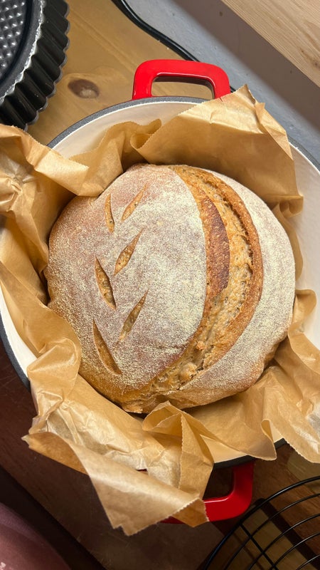 Vaalea "Gold Rush" -leip&auml;juuri